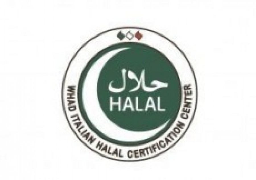 Whad halal 881 16051
