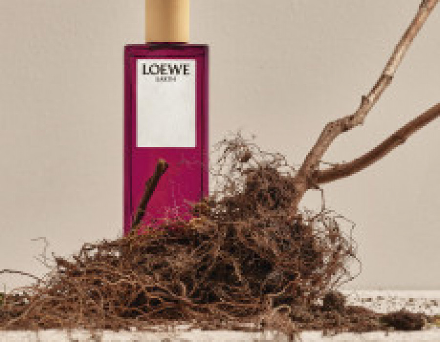 Loewe earth still life  roots 2 33488