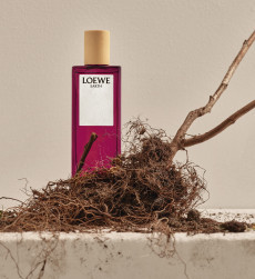 Loewe earth still life  roots 2 33488