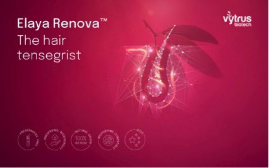 Vytrus elaya renova 32169