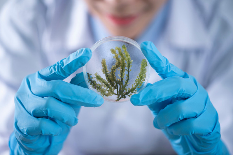 Cosmetica microbiologia pexels chokniti khongchum 2280568 31945