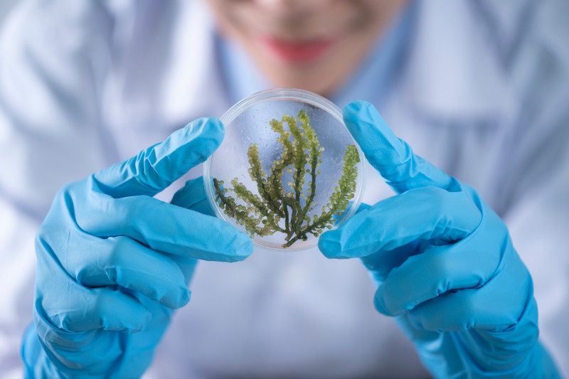Cosmetica microbiologia pexels chokniti khongchum 2280568 31945