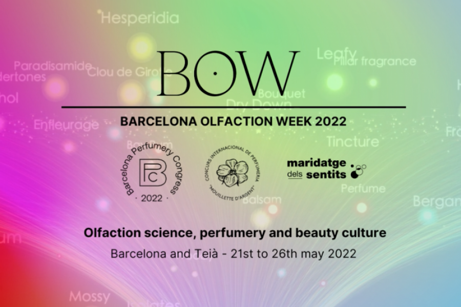 Bow 2022 32437
