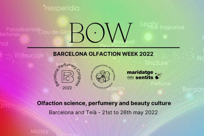 Bow 2022 32437