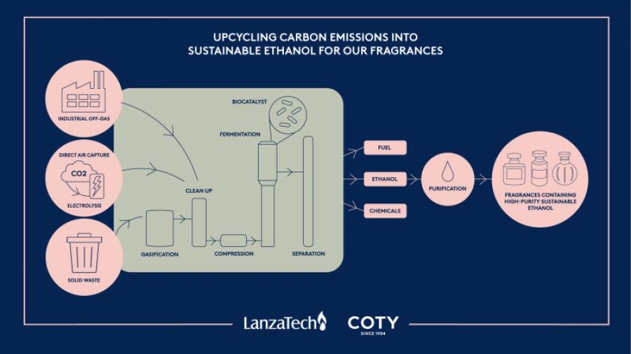 Coty factory infographic blue bg 3 31648
