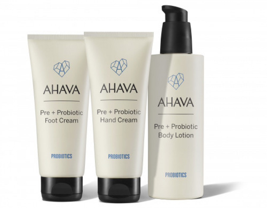 Ahava 31236