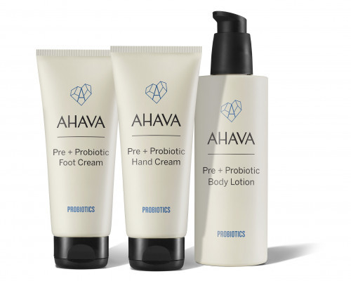 Ahava 31236