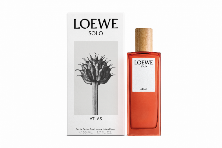 Loewe solo atlas 30875