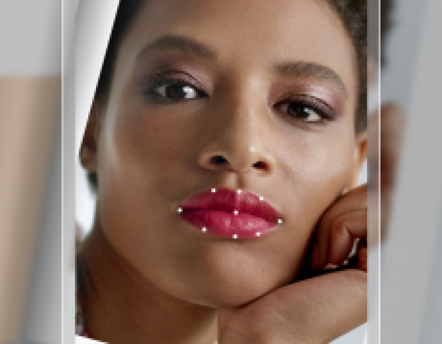 Chanel lipscanner 29524