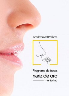 Nariz de oro 29031