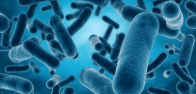 Vytrusbiotech innovacio n cosme tica 27965