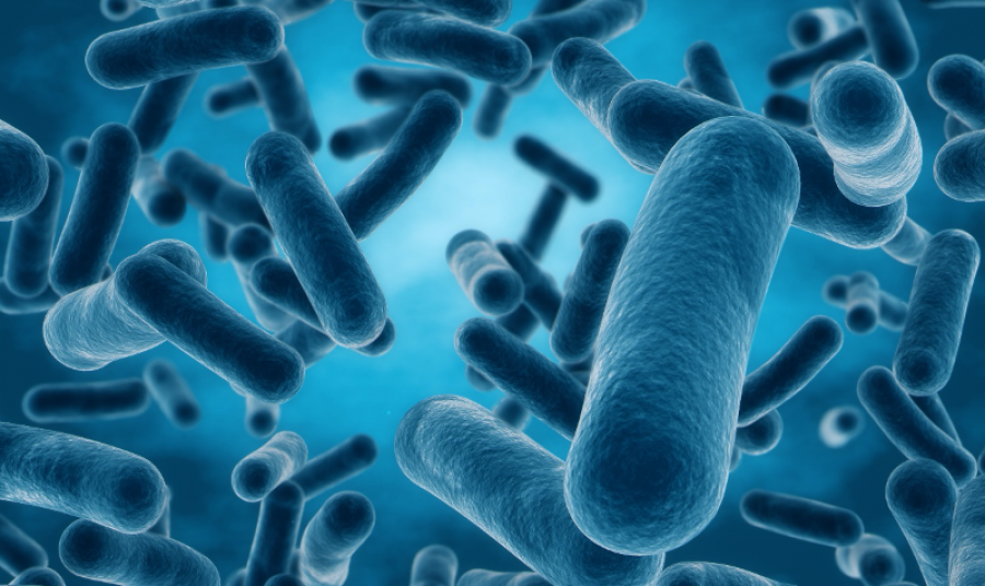 Vytrusbiotech innovacio n cosme tica 27965