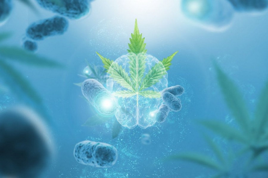 Vytrus biotech 27165