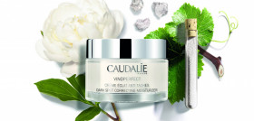 Crema caudalie 25828