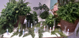 Cantabria labs nuevos serums 25197