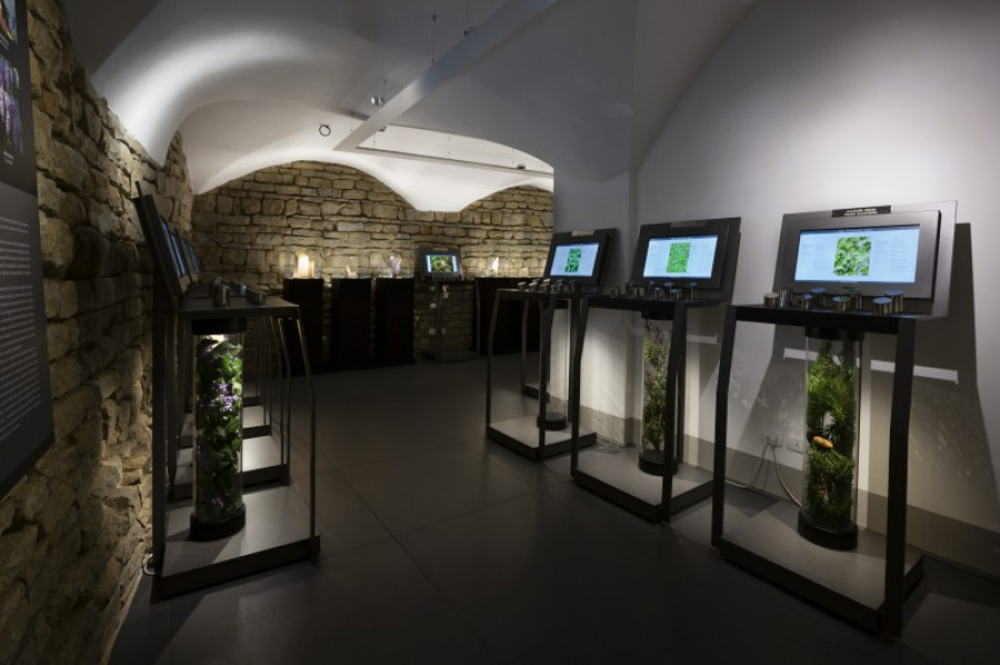 Museo villoresi 23672