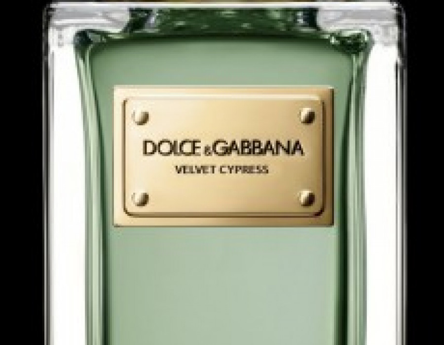 D g velvet cypress simple packshot 20092