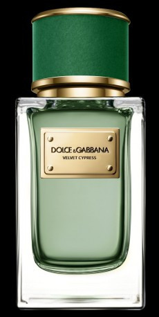 D g velvet cypress simple packshot 20092