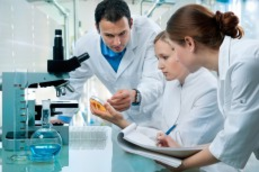 Stanpa curso investigacion ucm 916 18247