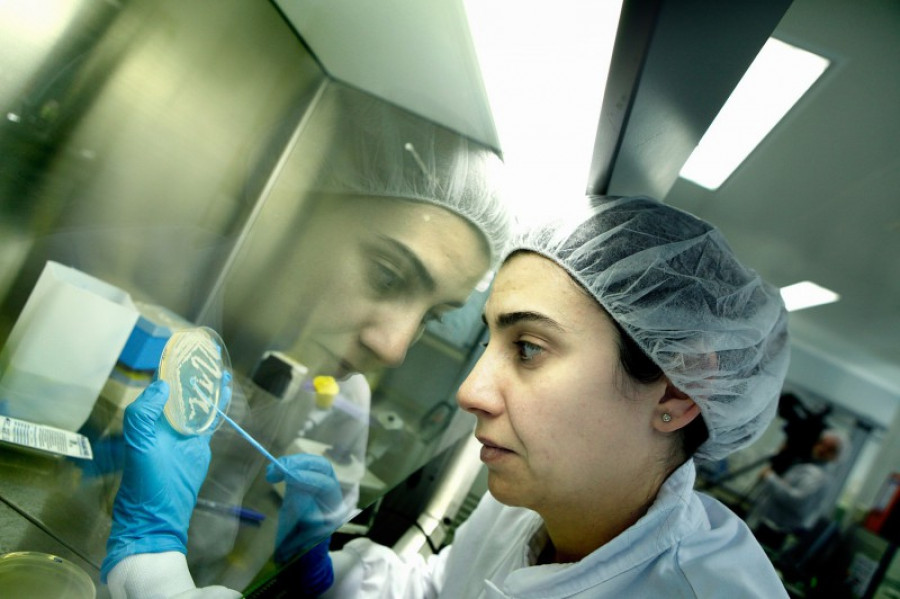 Ainia laboratorio micro 853 14288