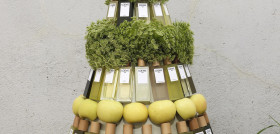 Loewe perfumes navidad