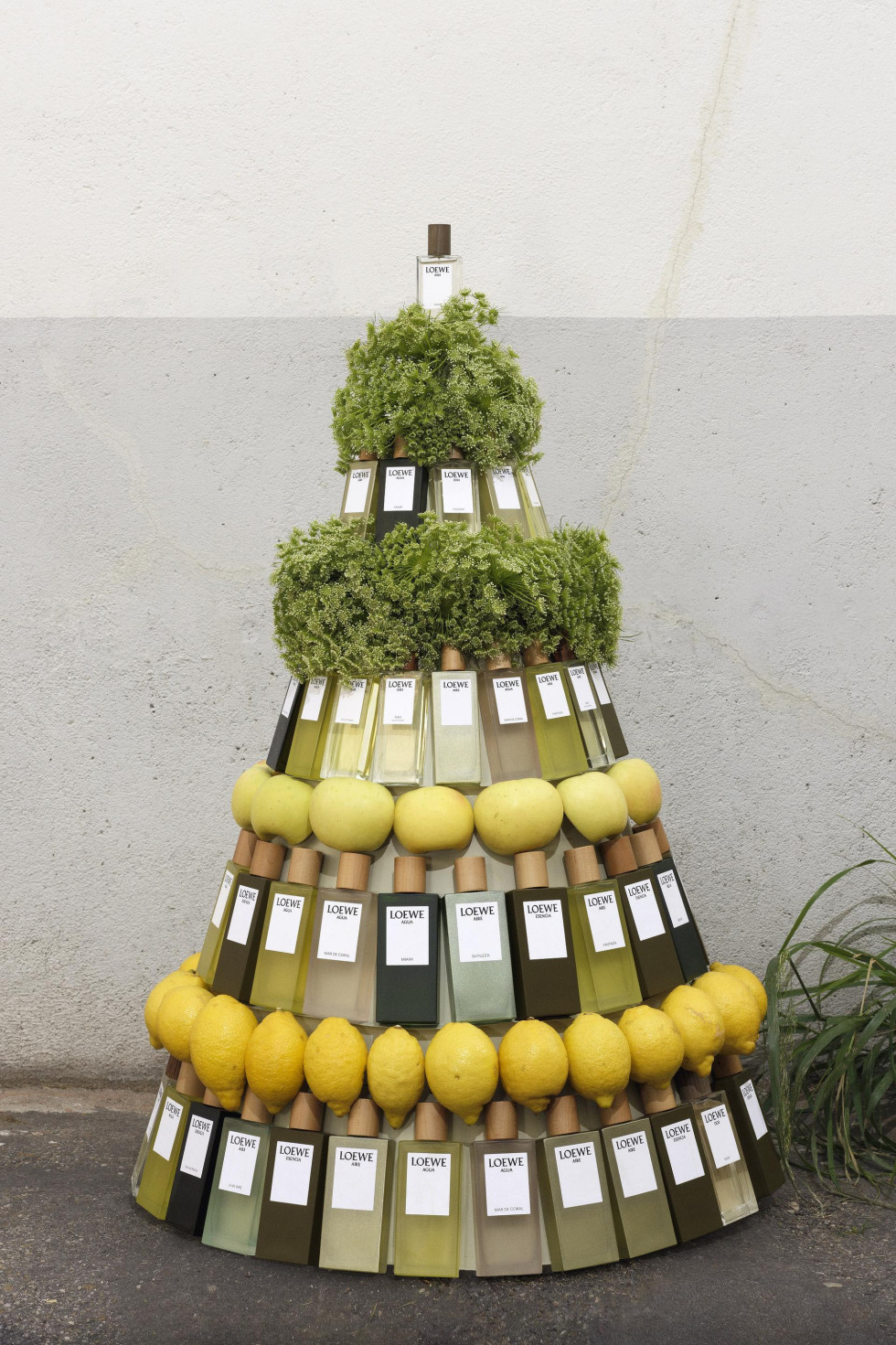 Loewe perfumes navidad