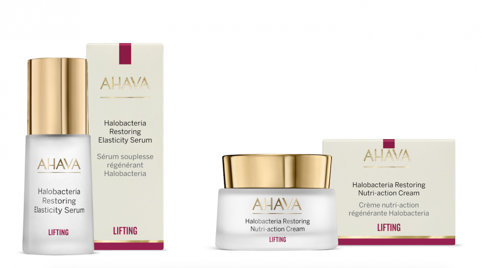 Ahava halobacteria