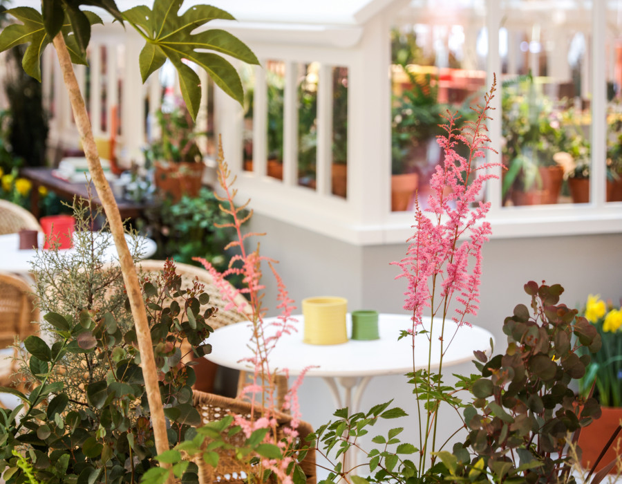 INSPIRACIÓN LOEWE GREENHOUSE 3