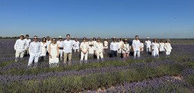 Visita campos lavanda Stanpa
