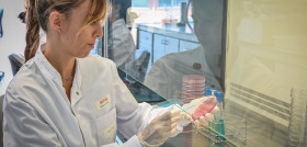 Ainia investigación RRH 2649