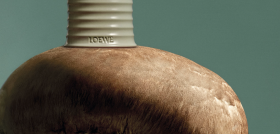Loewe home scents MUSHROOM horiz