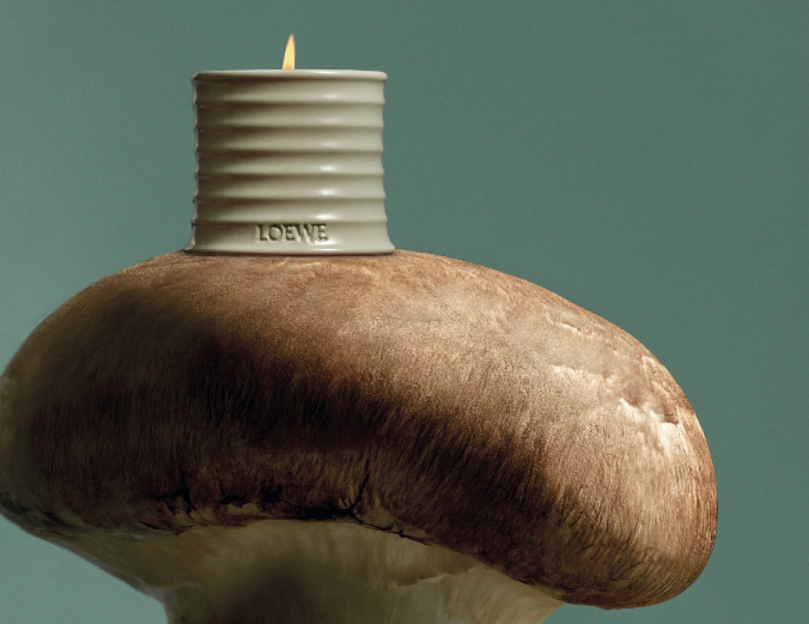 Loewe home scents MUSHROOM horiz