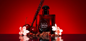 Ysl perfume e ingredientes 2