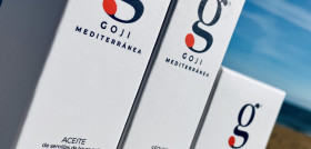GOJI IMG E1164 NO METER SI NO ENTRA