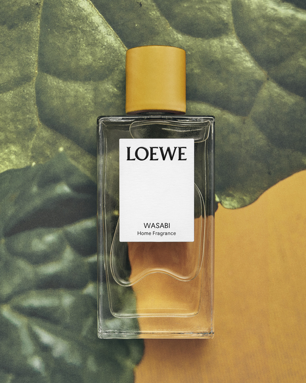 Wasabi Loewe Marz 0326359