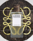 Loewe UPPM Loewe Logo 0465