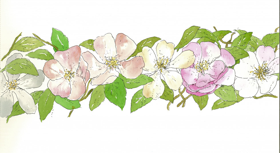 CHANEL ILUSTRACION COMUNICADO    ROSAS JACOBO PEREZ ENCISO 2025