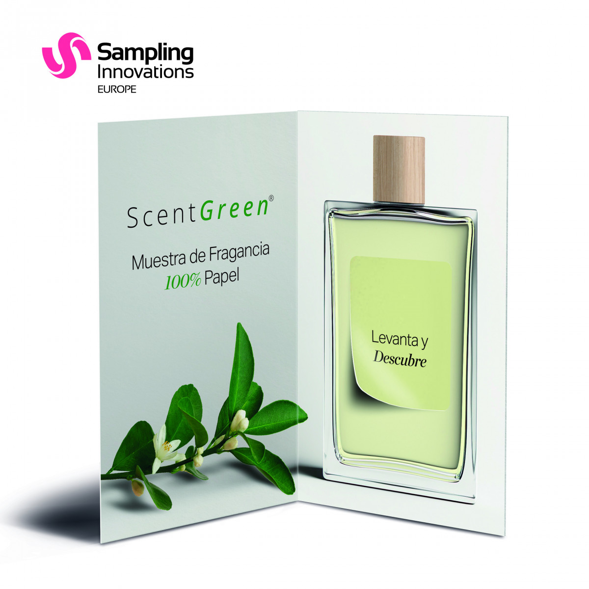 Visual SCENT GREEN es sin fondo NO SACAR EL LOGO