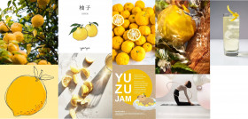 Yuzu Scentmate by dsm firmenich