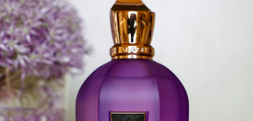 XERJOFF PURPLE ACCENTO FN 8969
