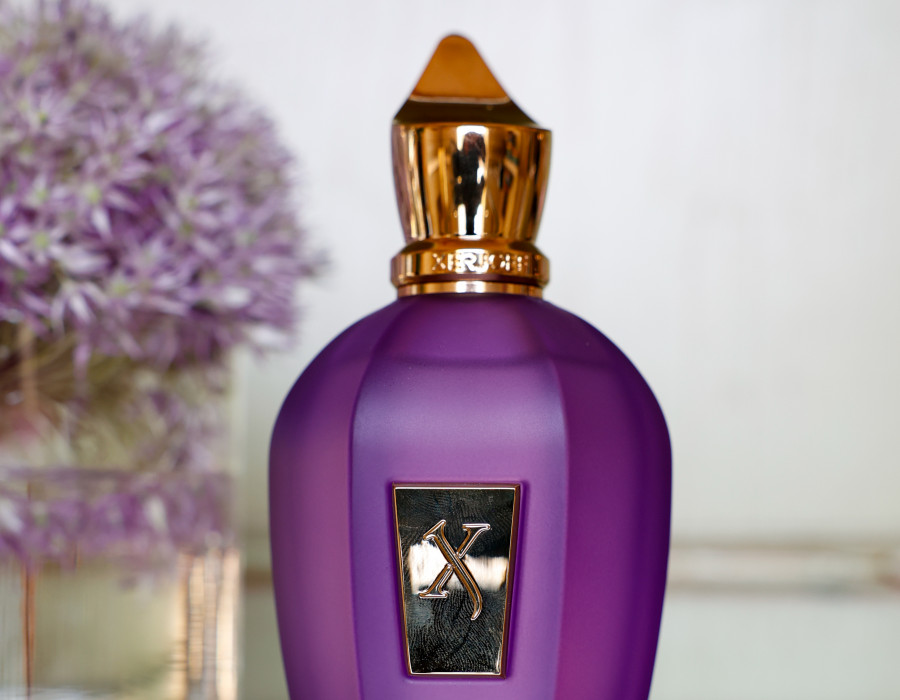 XERJOFF PURPLE ACCENTO FN 8969