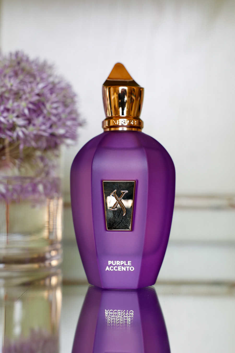 XERJOFF PURPLE ACCENTO FN 8969
