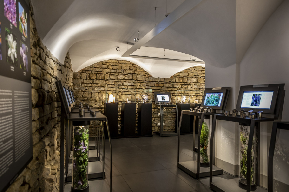 Interno Museo Villoresi