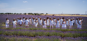 1. En los campos Lavanda Brihuega ADP 2025
