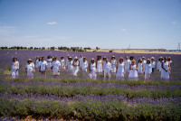 1. En los campos Lavanda Brihuega ADP 2025