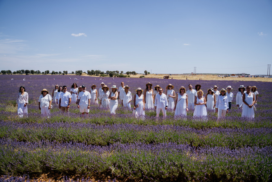 1. En los campos Lavanda Brihuega ADP 2025