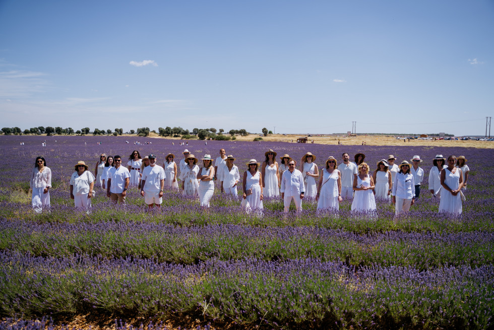 1. En los campos Lavanda Brihuega ADP 2025